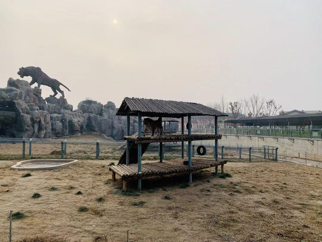 沧州,向各位听众朋友们问好!