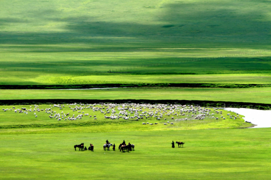 呼伦贝尔,草原荣光与时代印记的交响